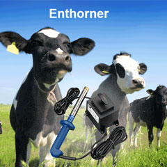 Rind Enthorner und Lötkolben Kategorie