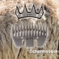 Hintergrund Schaf Schermesser