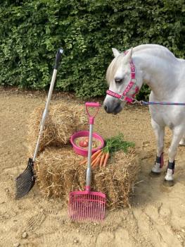 Pferd mit Forke vor Heuballen